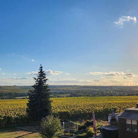 Ferienwohnung Ha-Wei -80 M2 Hangen-Weisheim Esterno foto