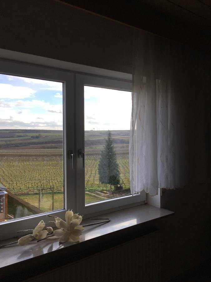Ferienwohnung Ha-Wei -80 M2 Hangen-Weisheim Esterno foto